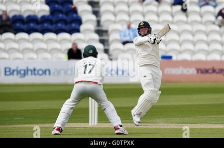 Sussex's Matt Machan hooks the ball past Leicestershire's close in fielder Neil Dexter during the Specsavers County Championship match between Sussex County Cricket Club and Leicestershire CCC at The 1st Central County Ground in Hove. May 1, 2016. Stock Photo