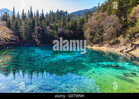 Beautiful pond in Jiuzhaigou national park, Sichuan Province, China Stock Photo