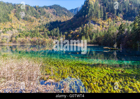 Stunning view in Jiuzhaigou national park, Sichuan Province, China Stock Photo