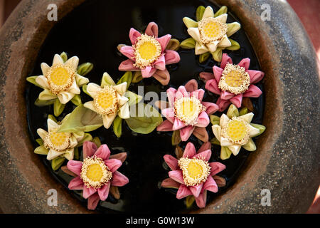 Flowers floating in pot, Okay 1 Villa Hotel, Siem Reap, Cambodia Stock Photo