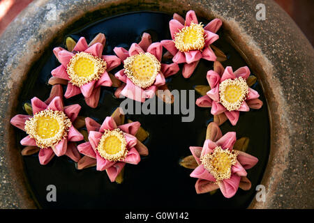 Flowers floating in pot, Okay 1 Villa Hotel, Siem Reap, Cambodia Stock Photo