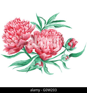 Hand-painted detailed watercolor vignette with blossoming flowers, buds and leaves isolated on white background Stock Photo