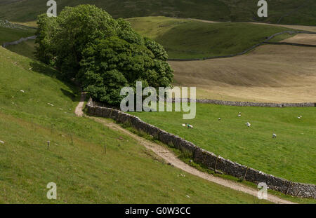 The Pennine Bridleway in Stockdale Yorkshire Stock Photo