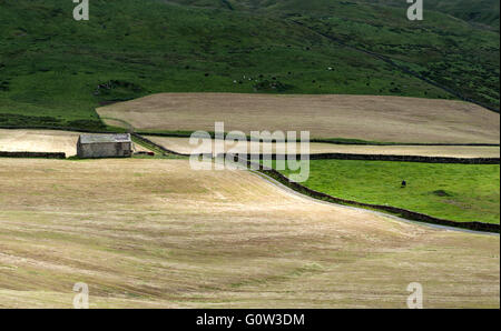 Field patterns in Stockdale near Settle in the Yorkshire dales Stock Photo