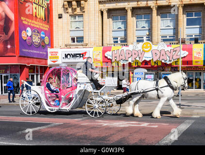 A white horse and covered carriage carries tourists along the promenade in Blackpool, Lancashire, UK Stock Photo