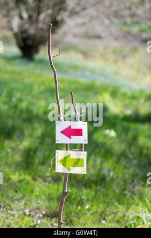 Red and green direction arrows on a post in woods or forest in the UK showing the way on a nature trail Stock Photo