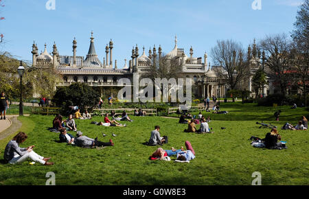 Brighton, UK. 4th May, 2016. Visitors sunbathe in Pavilion Gardens Brighton today as they enjoy the warm sunny spring weather with temperatures forecast to reach above 20 degrees centigrade this coming weekend in Britain .   Credit:  Simon Dack/Alamy Live News Stock Photo
