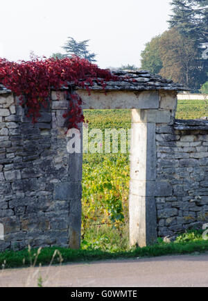 Portal of vineyard in Burgundy near Beaune, Cote d'Or, France, Europe Stock Photo