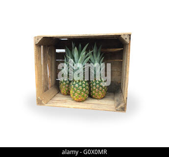 Pinapples on a white background Stock Photo
