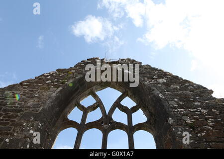 Creevelea Abbey, Franciscan Friary, Co Leitrim, Megalithic Ireland Stock Photo