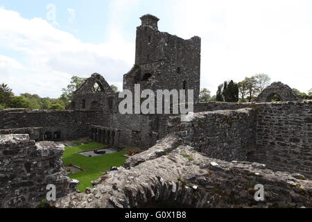 Creevelea Abbey, Franciscan Friary, Co Leitrim, Megalithic Ireland Stock Photo