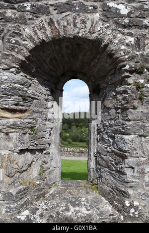 Creevelea Abbey, Franciscan Friary, Co Leitrim, Megalithic Ireland Stock Photo