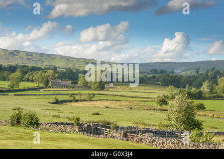 A landscape view across drystone walls in the glorious Yorkshire Dales, looking towards Malham Cove in the distance Stock Photo