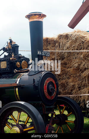 STEAM TRACTION ENGINE, 'CHARLIE B'. Stock Photo