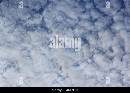 Cloudscape formed by altocumulus floccus clouds Stock Photo