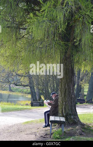 Old man reading newspaper Stock Photo