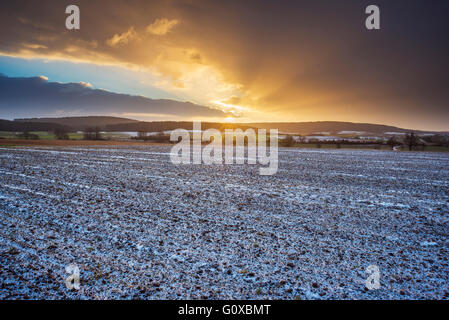 Field Landscape at Sunrise in the Winter, Dietersdorf, Coburg, Bavaria, Germany Stock Photo