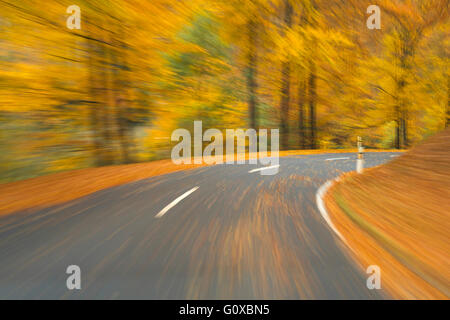 Road View from a Scenic Route in Autumn Forest, Spessart, Franconia, Bavaria, Germany