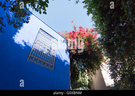 Majorelle Gardens, Marrakesh, Morocco, North Africa, Africa Stock Photo