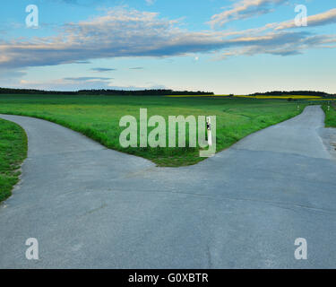 Forked Country Road in Morning, Walldurn, Neckar-Odenwald-District, Odenwald, Baden-Wurttemberg, Germany Stock Photo