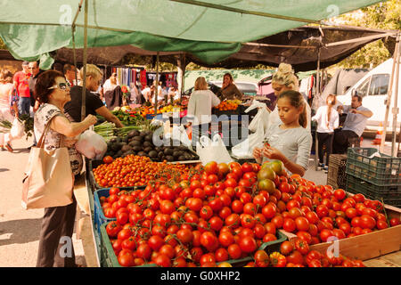 Spain food market; Tomatoes for sale in the food market, Marbella, Costa del Sol, Andalusia, Spain Europe Stock Photo