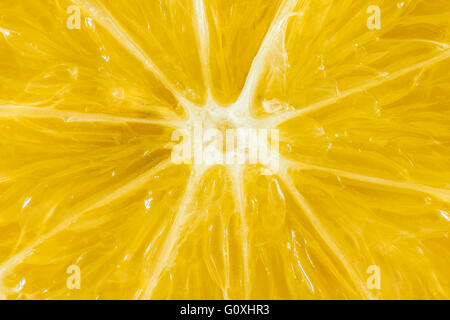 Juicy yellow slice of lemon. Closeup - macro. Stock Photo