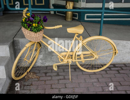 Old bicycle closeup with a basket of spring Pansies in Lancaster County, Pennsylvania, US, in bike flowers spring container pots containers flower Stock Photo