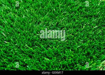 closeup of green grass Stock Photo