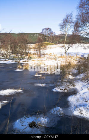 dh  AVIEMORE INVERNESSSHIRE Ice pond snow fields Speyside way Stock Photo