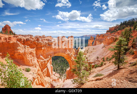 Beautiful natural arch in Bryce Canyon National Park, Utah, USA. Stock Photo