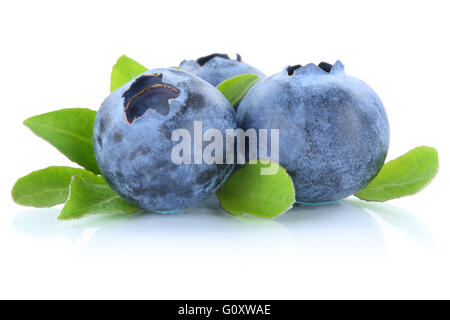 Blueberry blueberries berry berries isolated on a white background Stock Photo