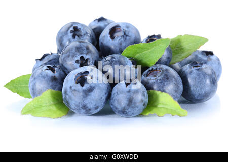 Blueberry blueberries fresh berry berries fruit isolated on a white background Stock Photo