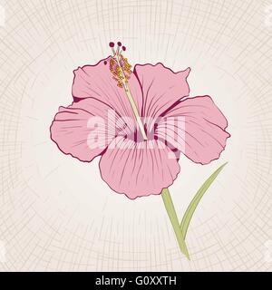Vector hand drawn hibiscus flower. Global color CMYK. Stock Vector