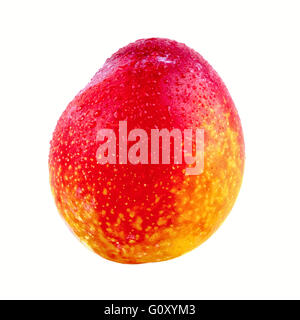 Red orange plum isolated on a white background Stock Photo