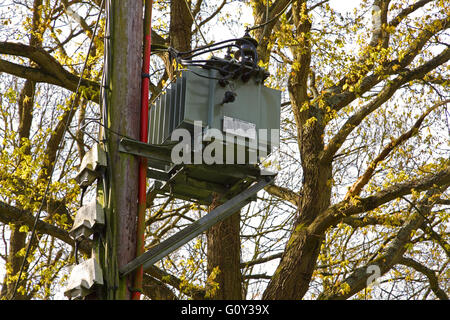 A Grey painted pole mounted high voltage transformer wired up and working alongside a road in a rural location. Stock Photo