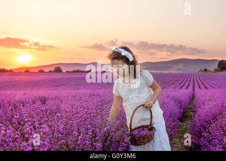 Girl picking lavender flowers in a field at sunset, Kazanlak, Bulgaria Stock Photo