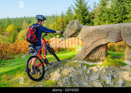 Female mountain biker and the Red Fox sculpture, one of many art works around Grizedale Forest in the Lake District Stock Photo