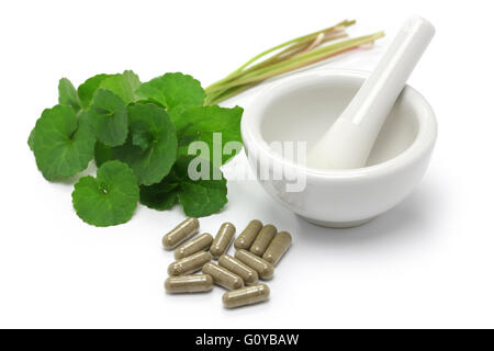 gotu kola, asiatic pennywort, centella asiatica, medicine capsule, mortar and pestle Stock Photo