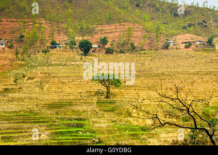 View of agricultural terraces during dry season in rural Gorkha, Nepal. Stock Photo
