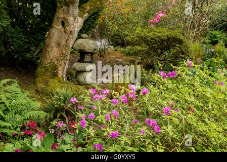 Japanese Garden, Hatley Park Gardens, Colwood, British Columbia, Canada Stock Photo