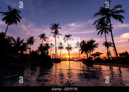 Beautiful twilight on the beach with palm trees reflected in pool. Stock Photo