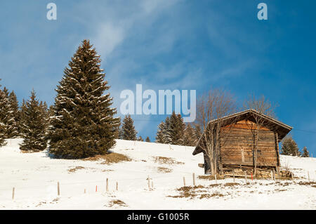 Shed with blue sky background in Lenk, Simmental, Switzerland Stock Photo