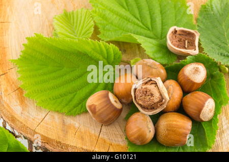 Raw hazelnuts on a green leaf placed on a wooden board Stock Photo