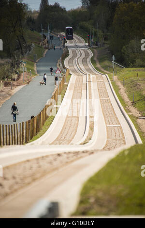 Purple bus approaching on new dedicated busway, green grass verge, concrete guided busway, pedestrians, dogwalker Stock Photo