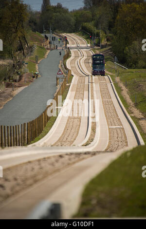 Purple bus approaching on new dedicated busway, green grass verge, concrete guided busway, pedestrians, dogwalker Stock Photo