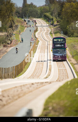 Purple bus approaching on new dedicated busway, green grass verge, concrete guided busway, pedestrians, dogwalker Stock Photo