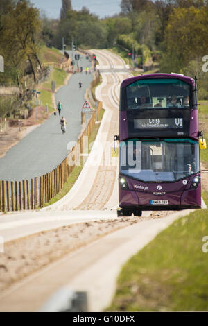 Purple bus on new guided busway driver and passengers visible Stock Photo