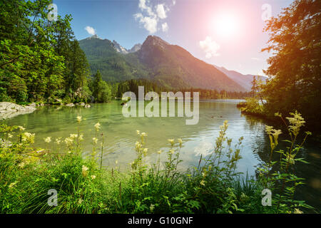 Amazing sunny summer day on the Hintersee lake in Austrian Alps, Europe. Stock Photo
