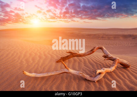 amazing desert view in sunset time Stock Photo