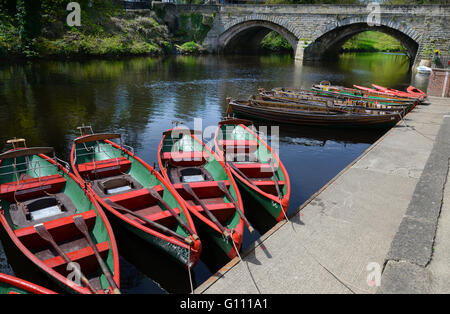 Rowing boats for hire on the River Nidd, Knaresborough, North Yorkshire, Stock Photo